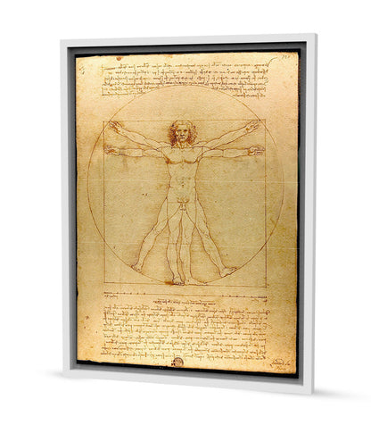 Tableau Décoratif L'Homme de Vitruve