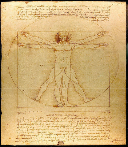 Tableau Décoratif L'Homme de Vitruve